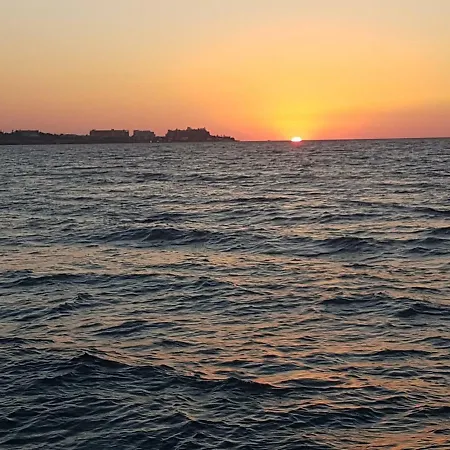 Paradise فيلة